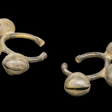 Muséum de Toulouse : Histoire naturelle et éthnologie