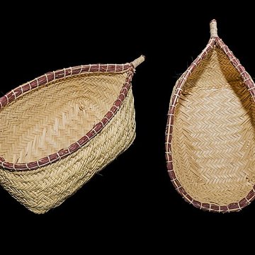 Muséum de Toulouse : Histoire naturelle et éthnologie