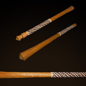 Muséum de Toulouse : Histoire naturelle et éthnologie