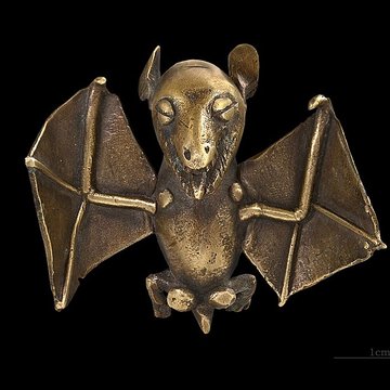 Muséum de Toulouse : Histoire naturelle et éthnologie