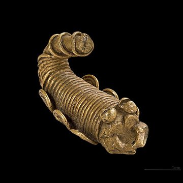 Muséum de Toulouse : Histoire naturelle et éthnologie