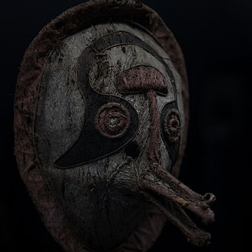 Muséum de Toulouse : Histoire naturelle et éthnologie