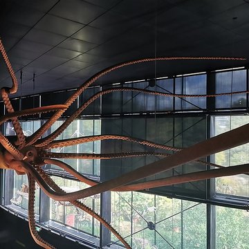 Muséum de Toulouse : Histoire naturelle et éthnologie
