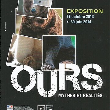 Muséum de Toulouse : Histoire naturelle et éthnologie