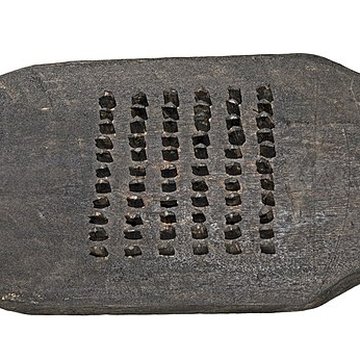 Muséum de Toulouse : Histoire naturelle et éthnologie