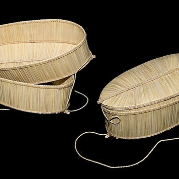 Muséum de Toulouse : Histoire naturelle et éthnologie