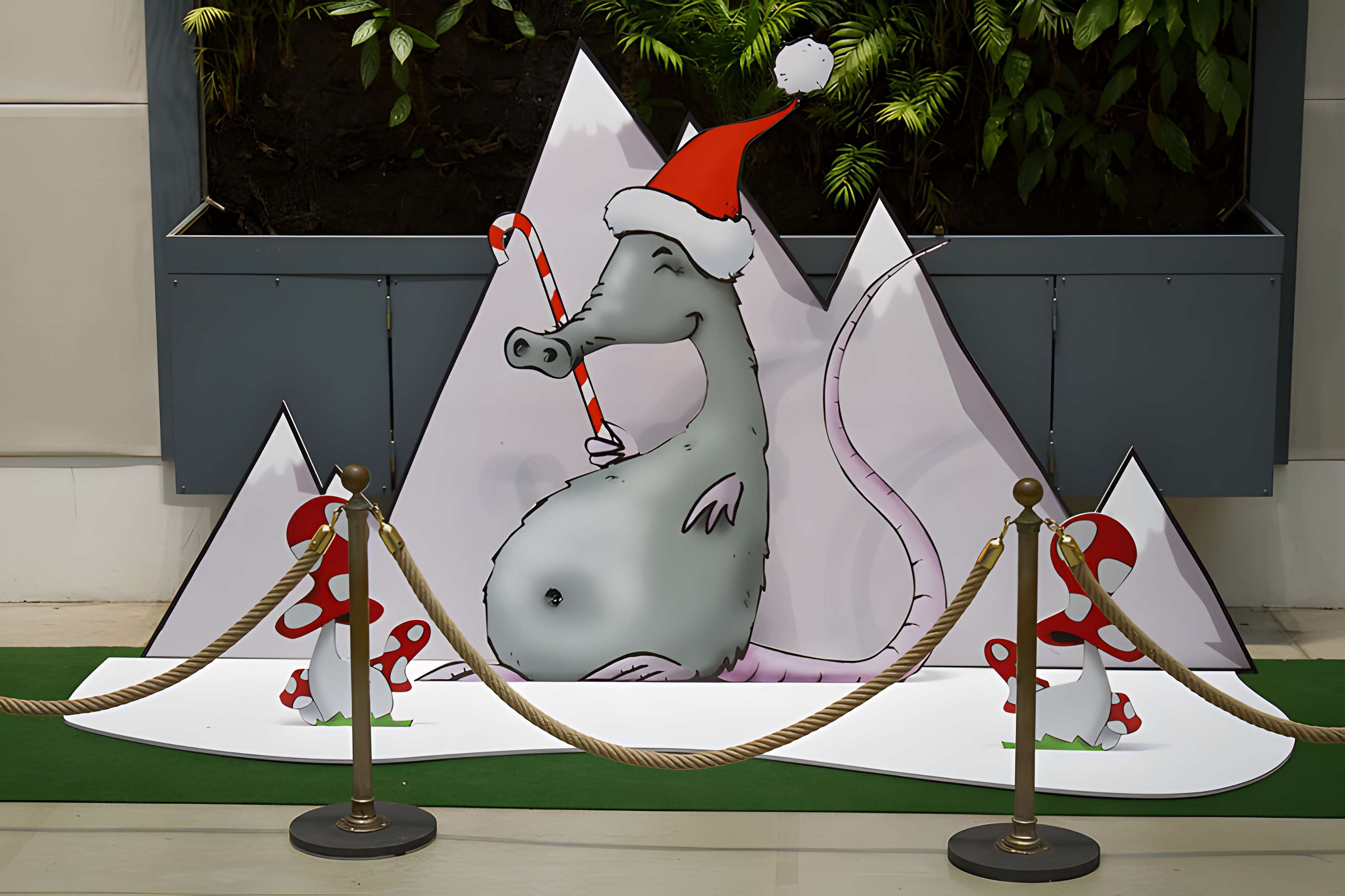 Muséum de Toulouse : Histoire naturelle et éthnologie