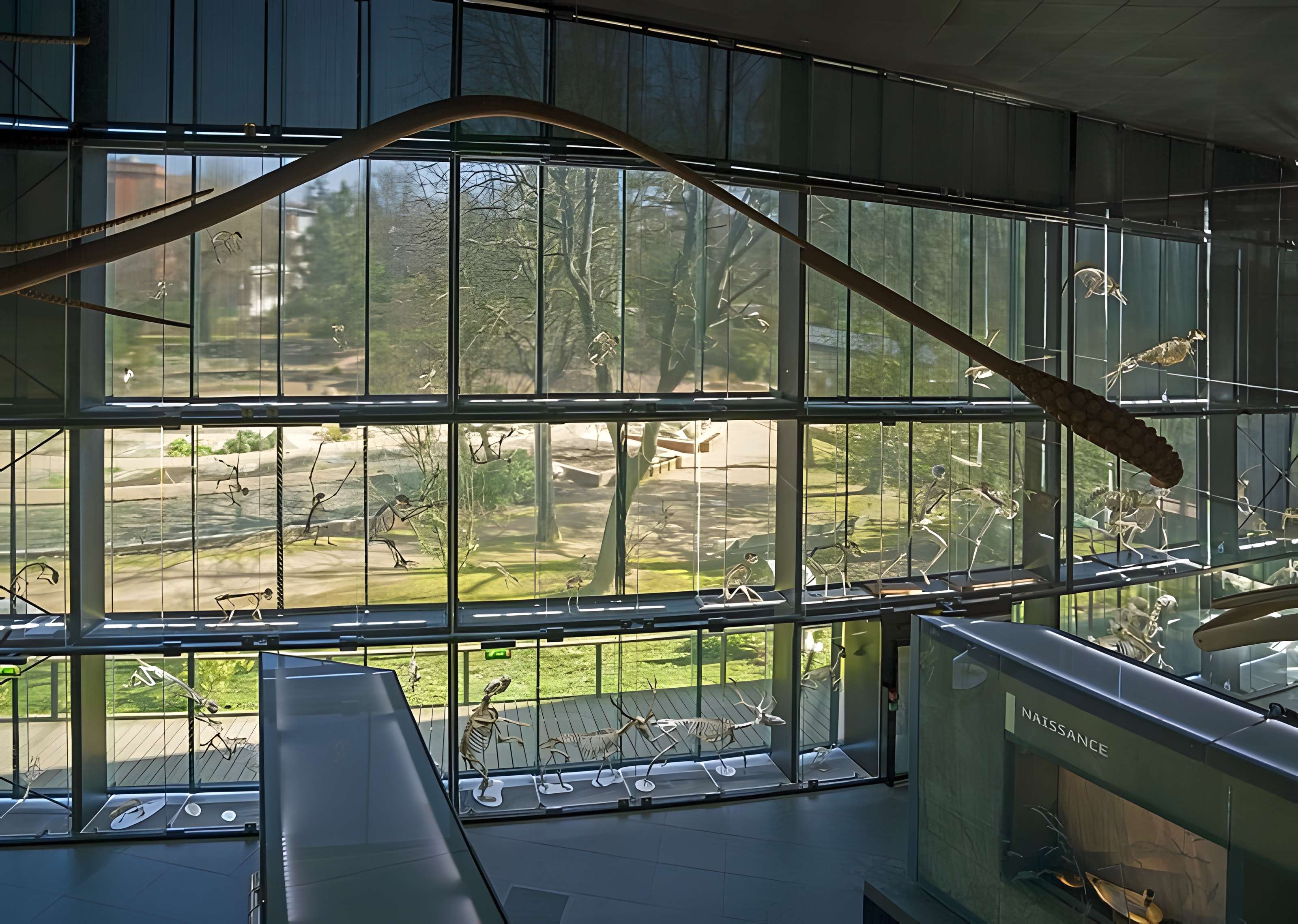 Muséum de Toulouse : Histoire naturelle et éthnologie