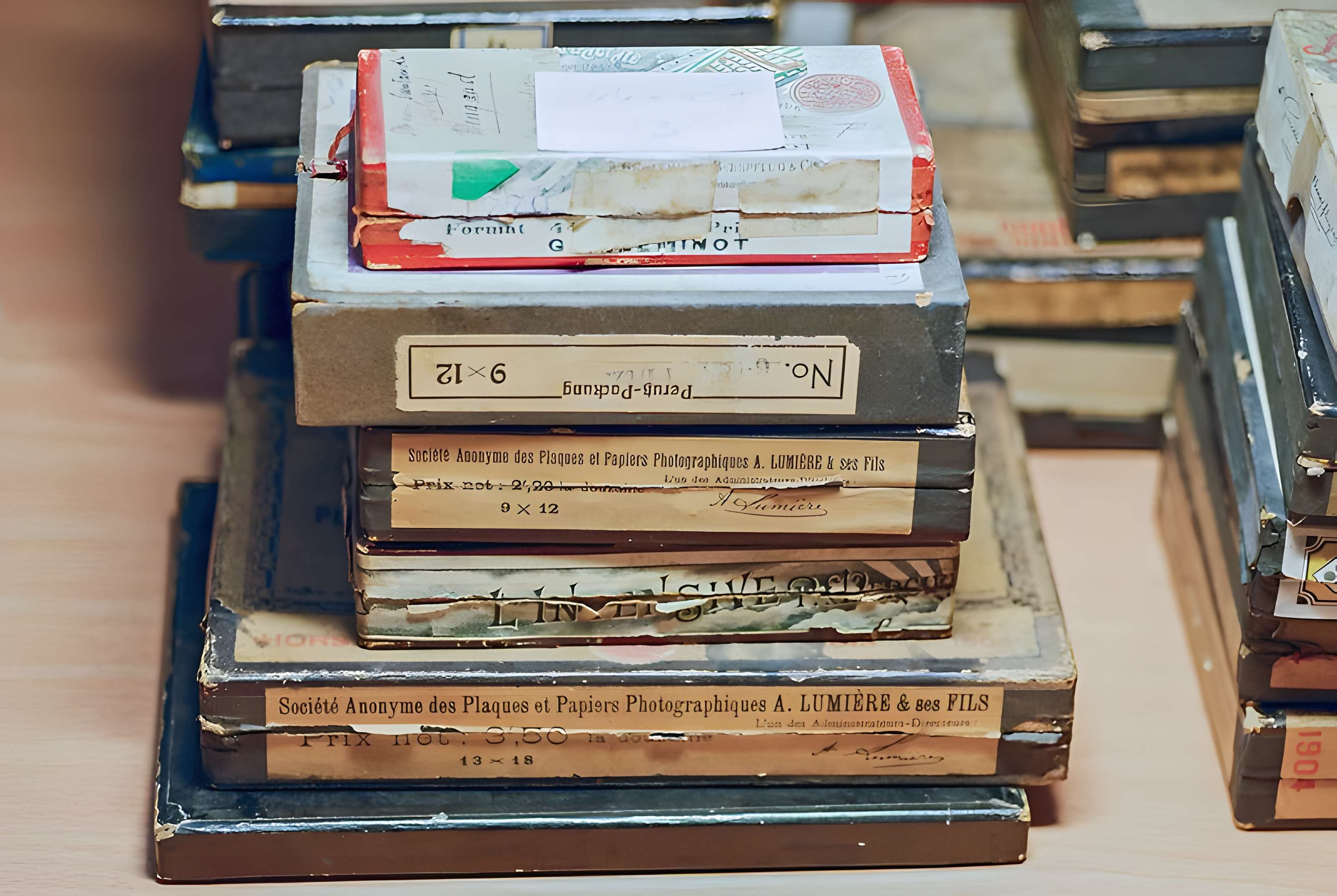 Muséum de Toulouse : Histoire naturelle et éthnologie