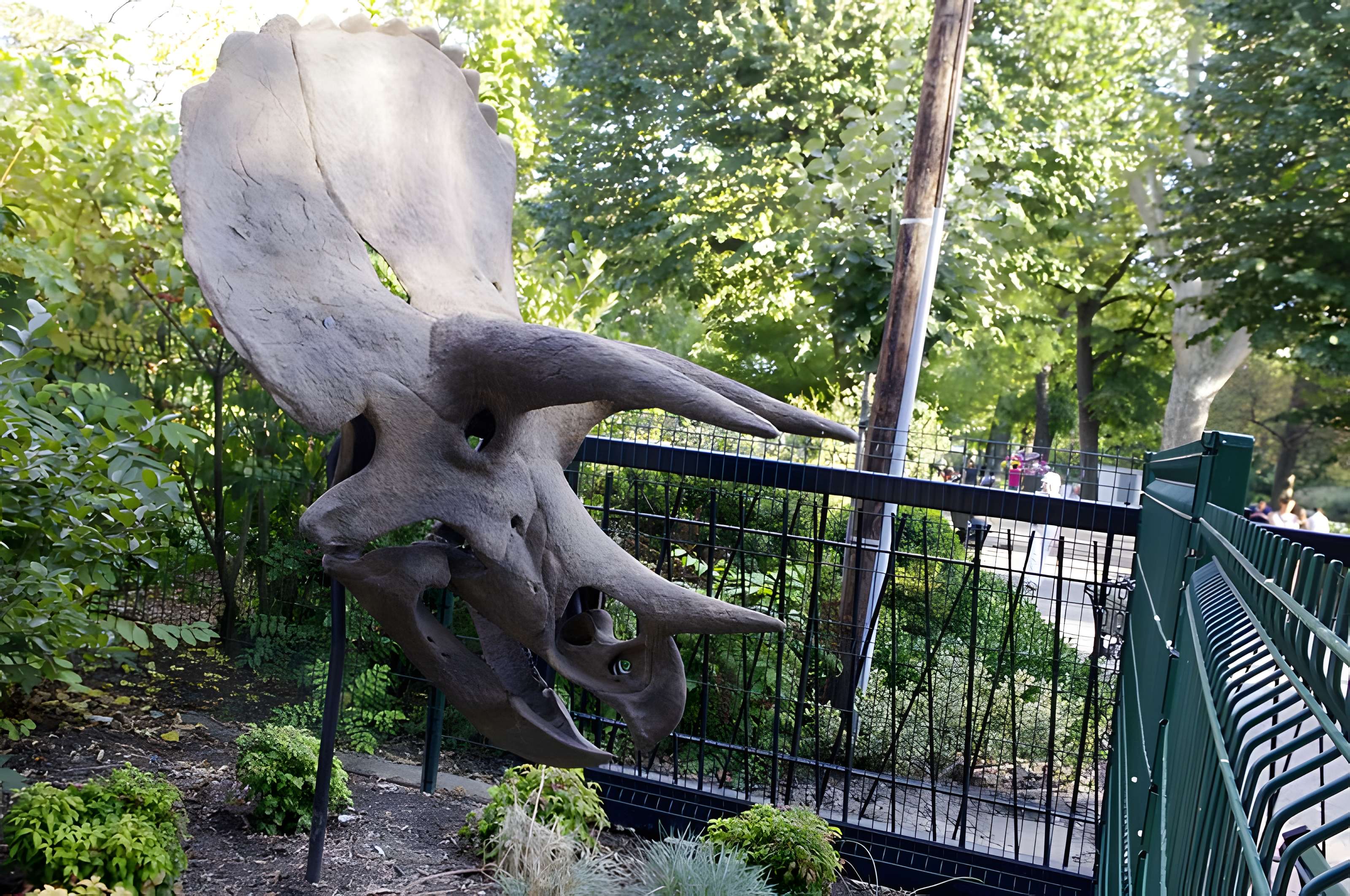 Muséum de Toulouse : Histoire naturelle et éthnologie