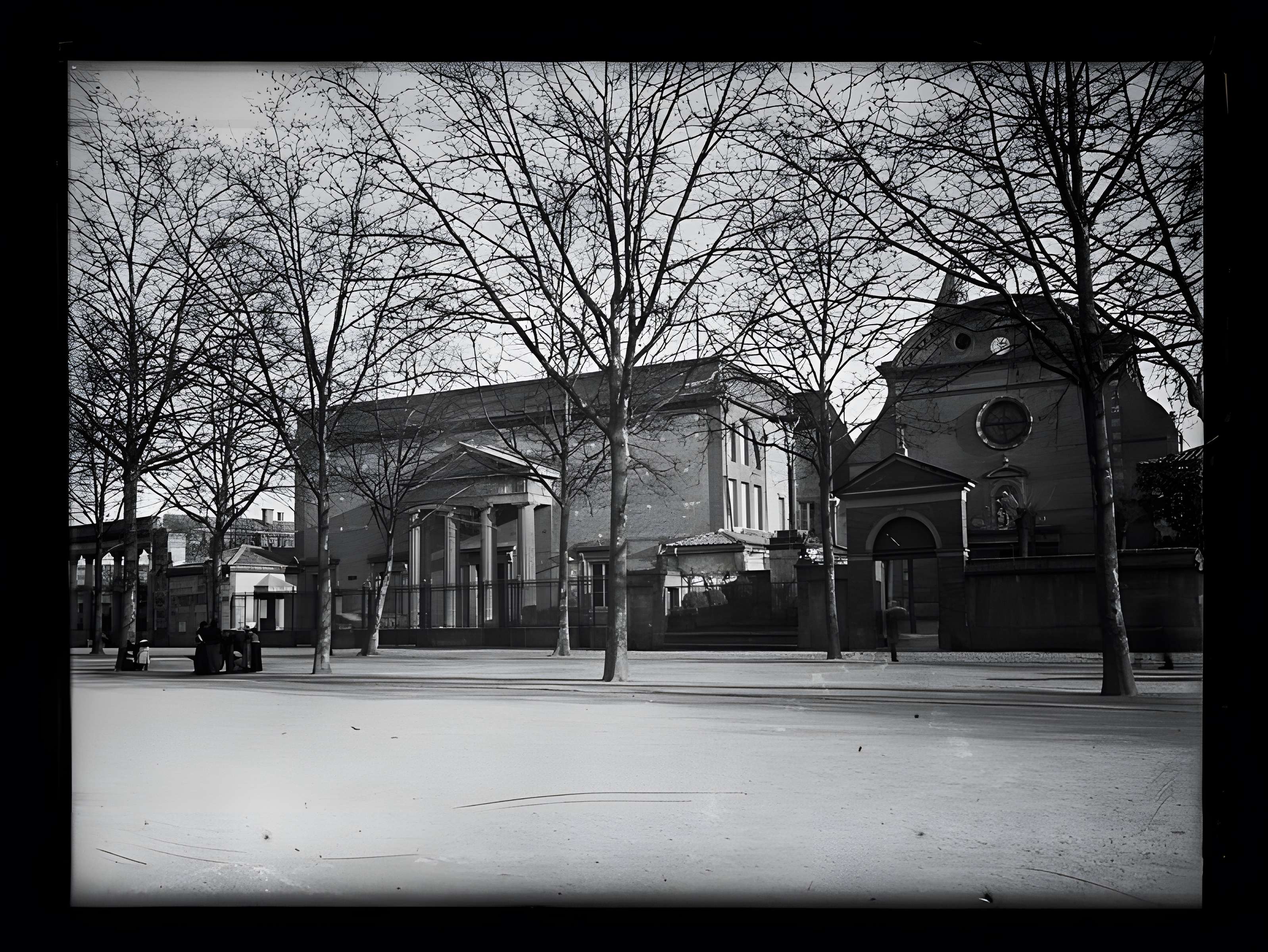 Muséum de Toulouse : Histoire naturelle et éthnologie