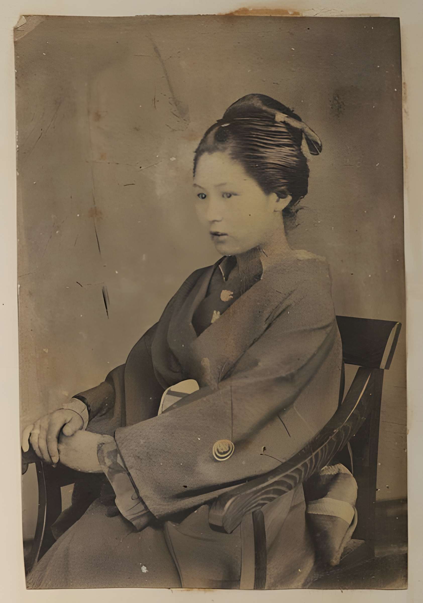 Muséum de Toulouse : Histoire naturelle et éthnologie