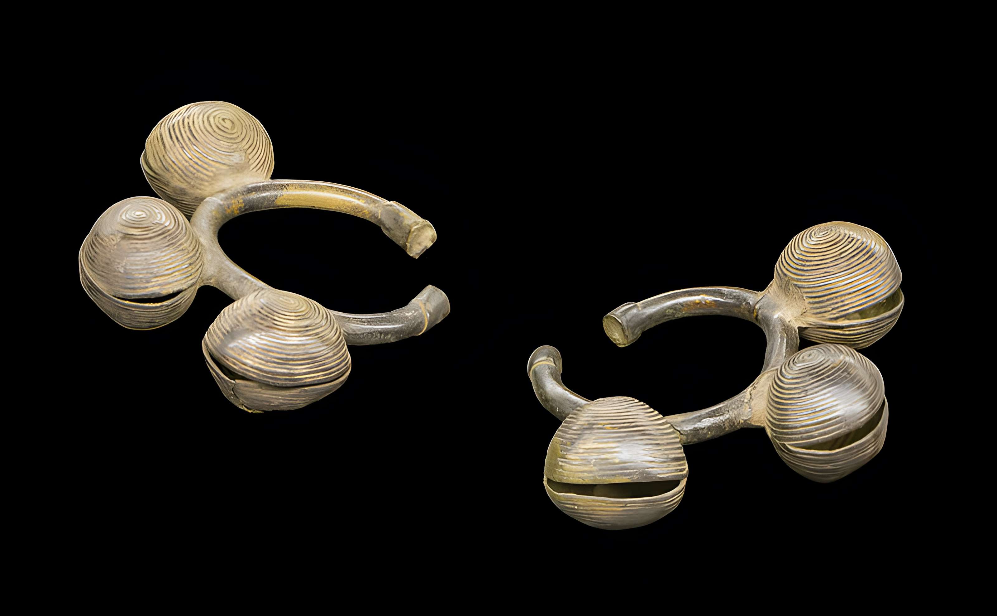 Muséum de Toulouse : Histoire naturelle et éthnologie