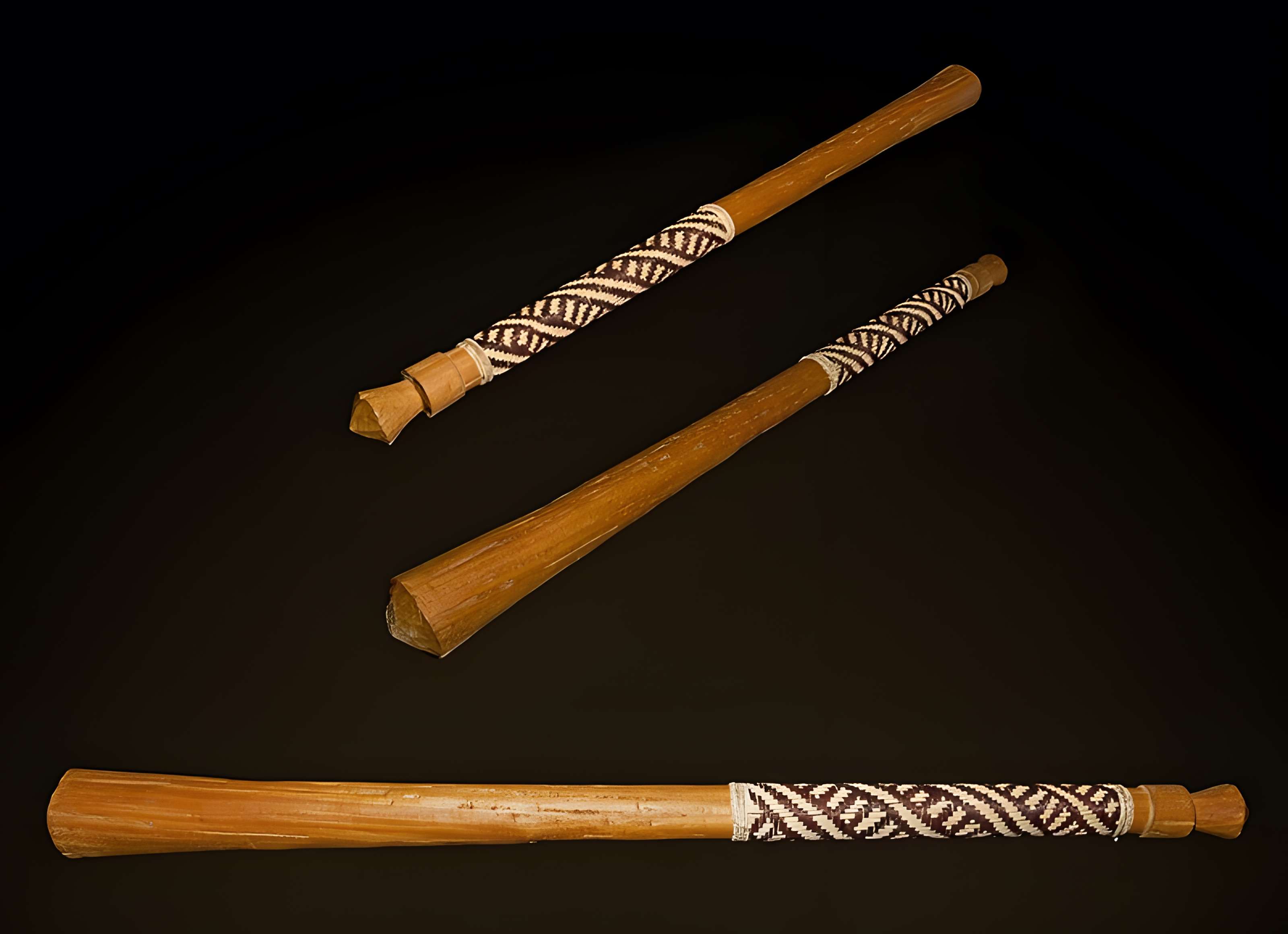 Muséum de Toulouse : Histoire naturelle et éthnologie