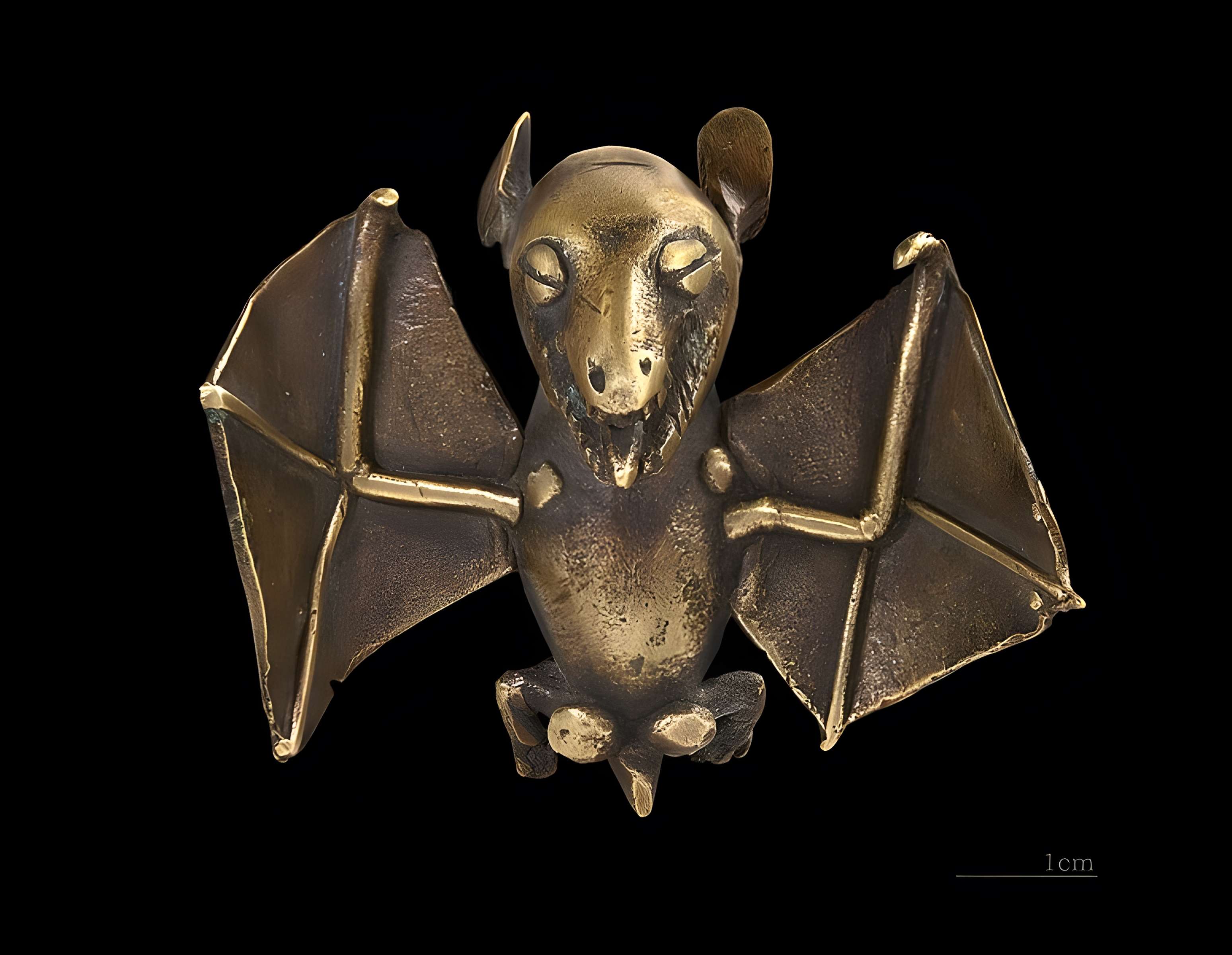 Muséum de Toulouse : Histoire naturelle et éthnologie