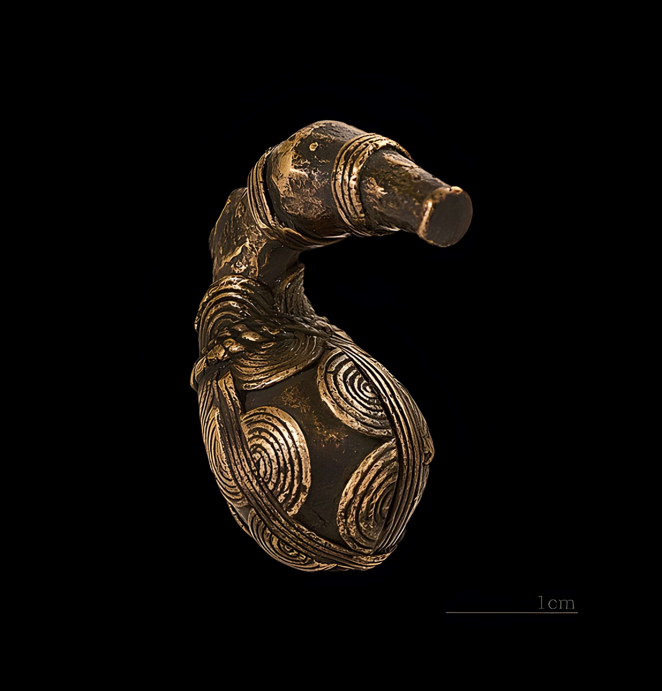 Muséum de Toulouse : Histoire naturelle et éthnologie