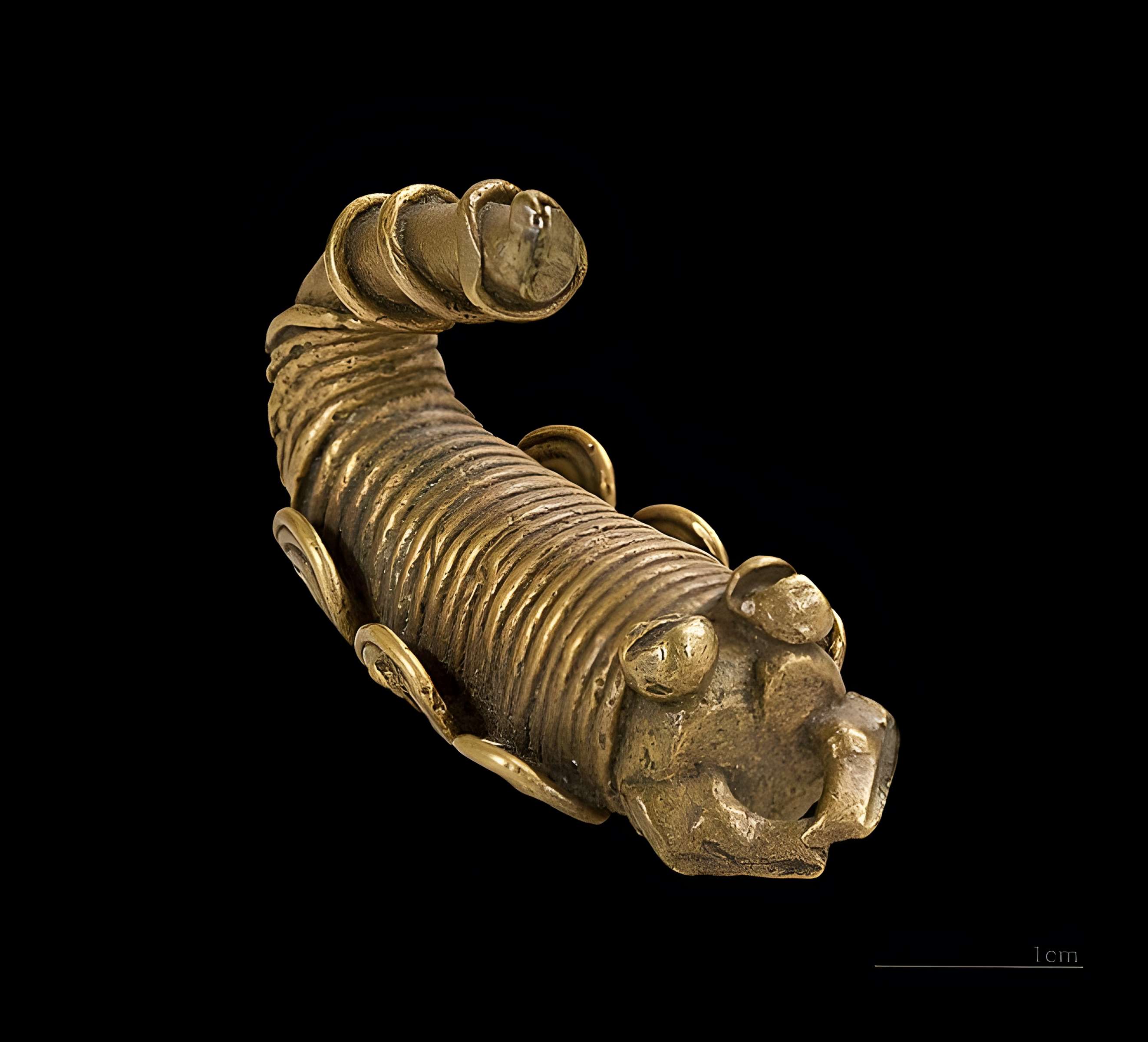 Muséum de Toulouse : Histoire naturelle et éthnologie