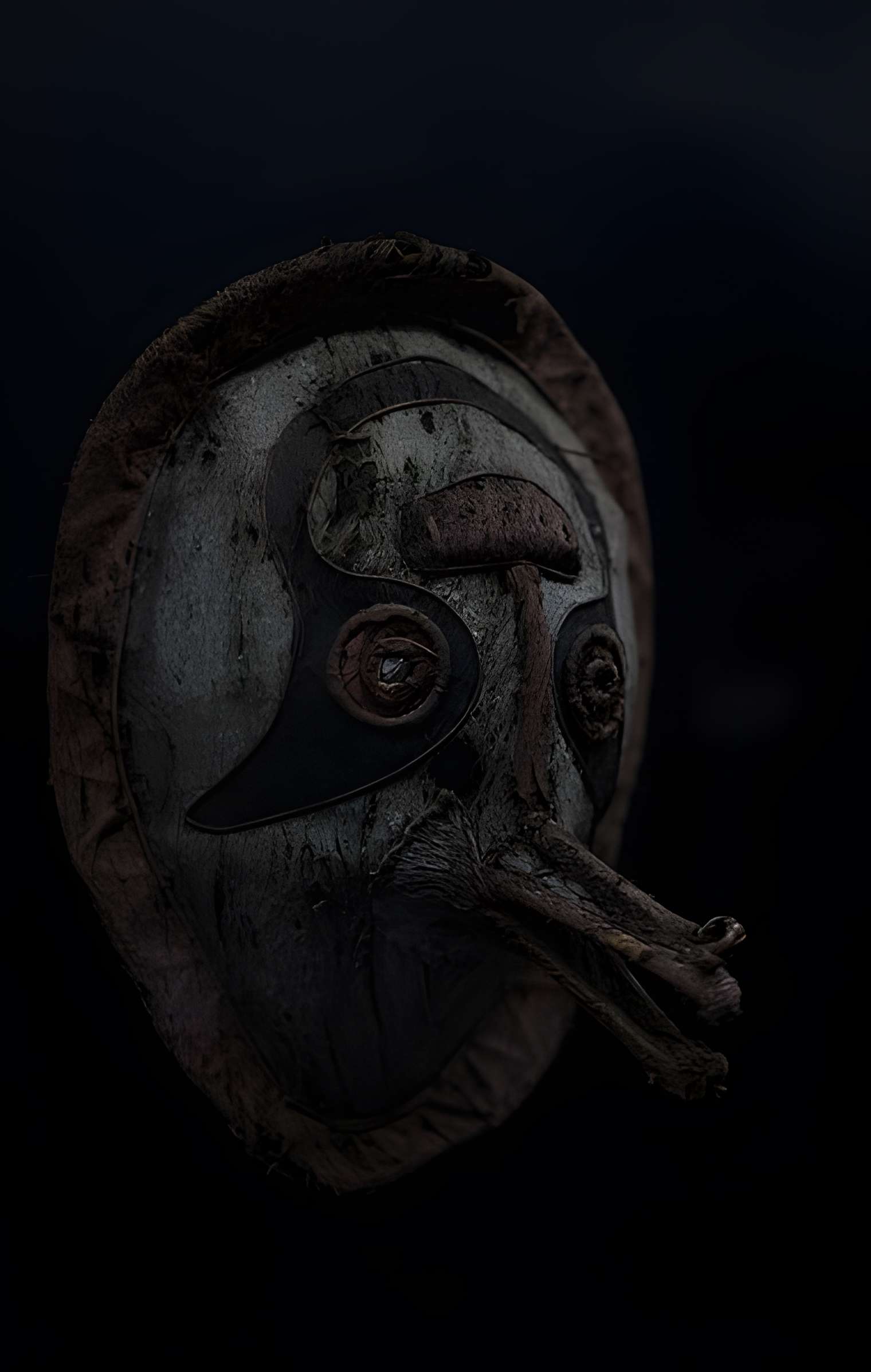 Muséum de Toulouse : Histoire naturelle et éthnologie