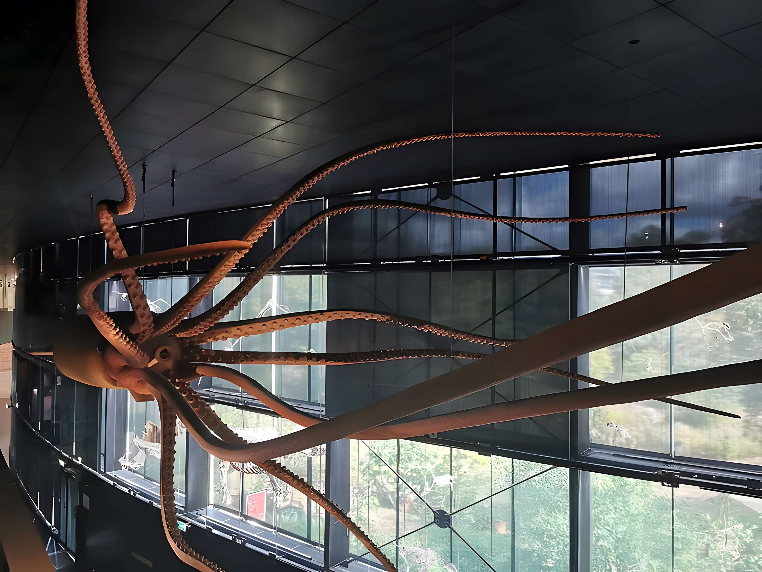 Muséum de Toulouse : Histoire naturelle et éthnologie