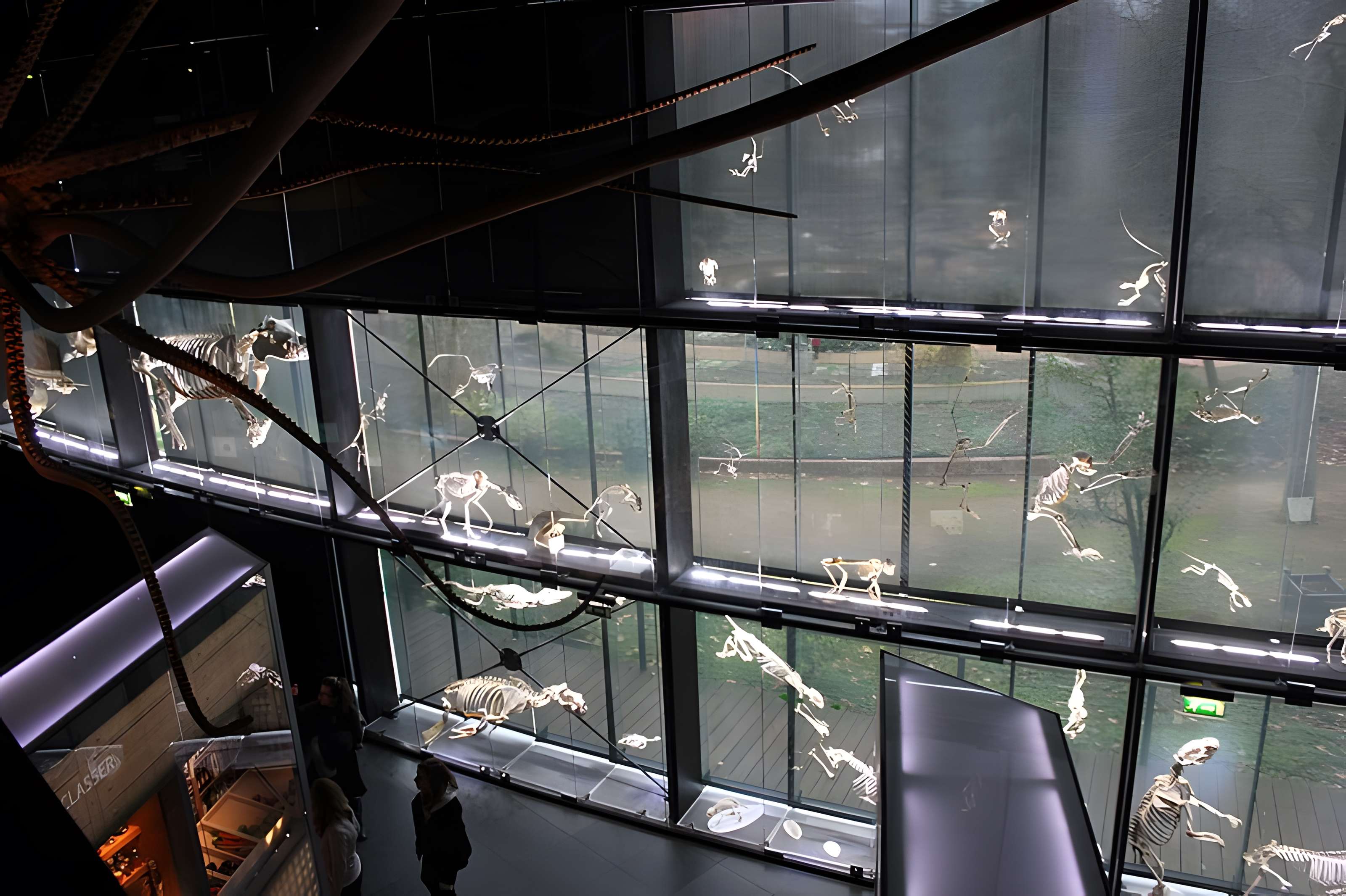 Muséum de Toulouse : Histoire naturelle et éthnologie