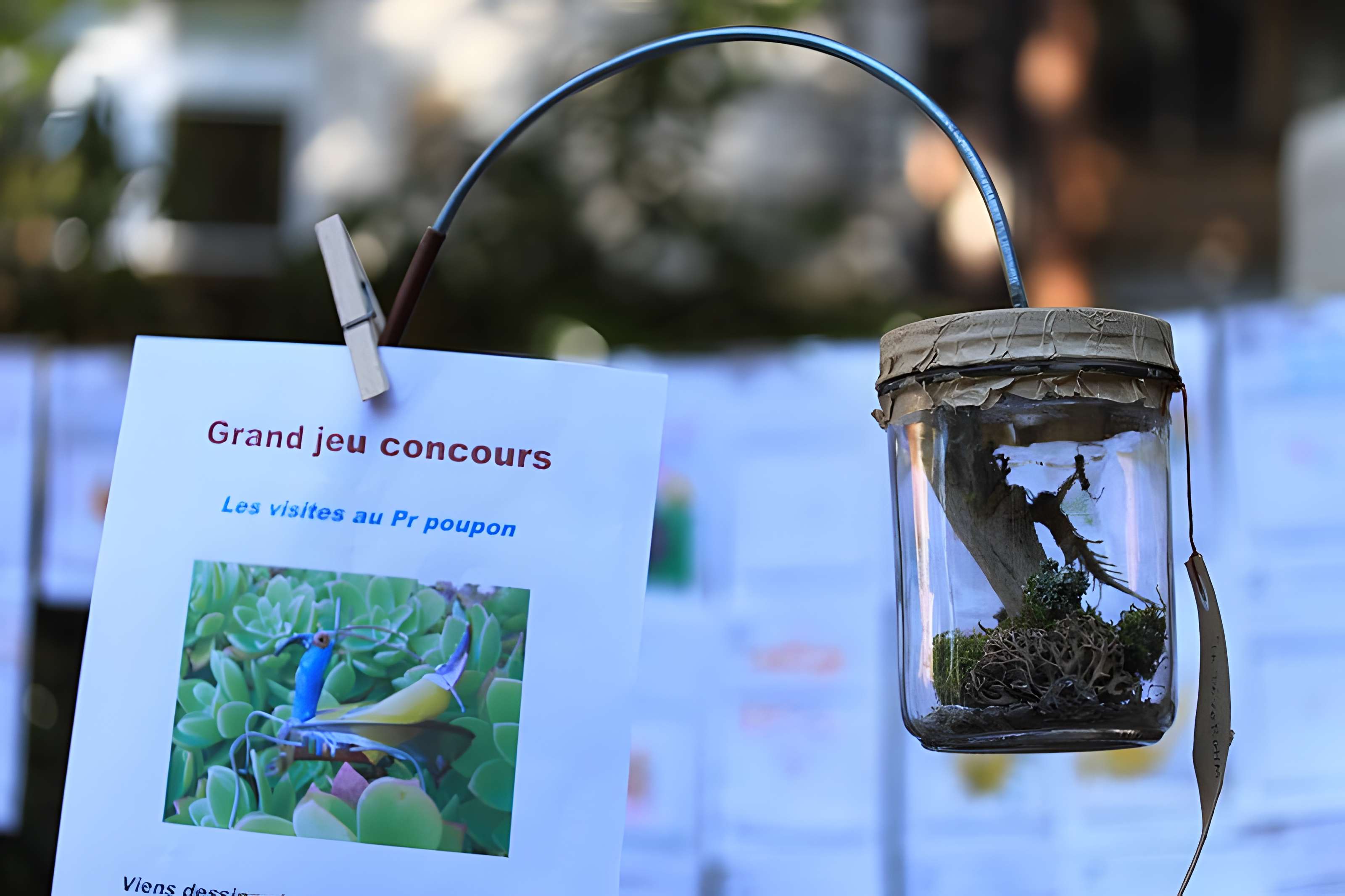 Muséum de Toulouse : Histoire naturelle et éthnologie