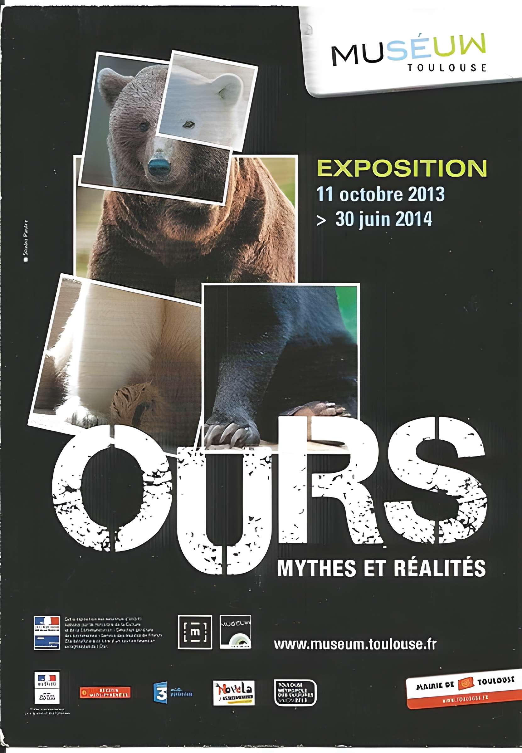 Muséum de Toulouse : Histoire naturelle et éthnologie