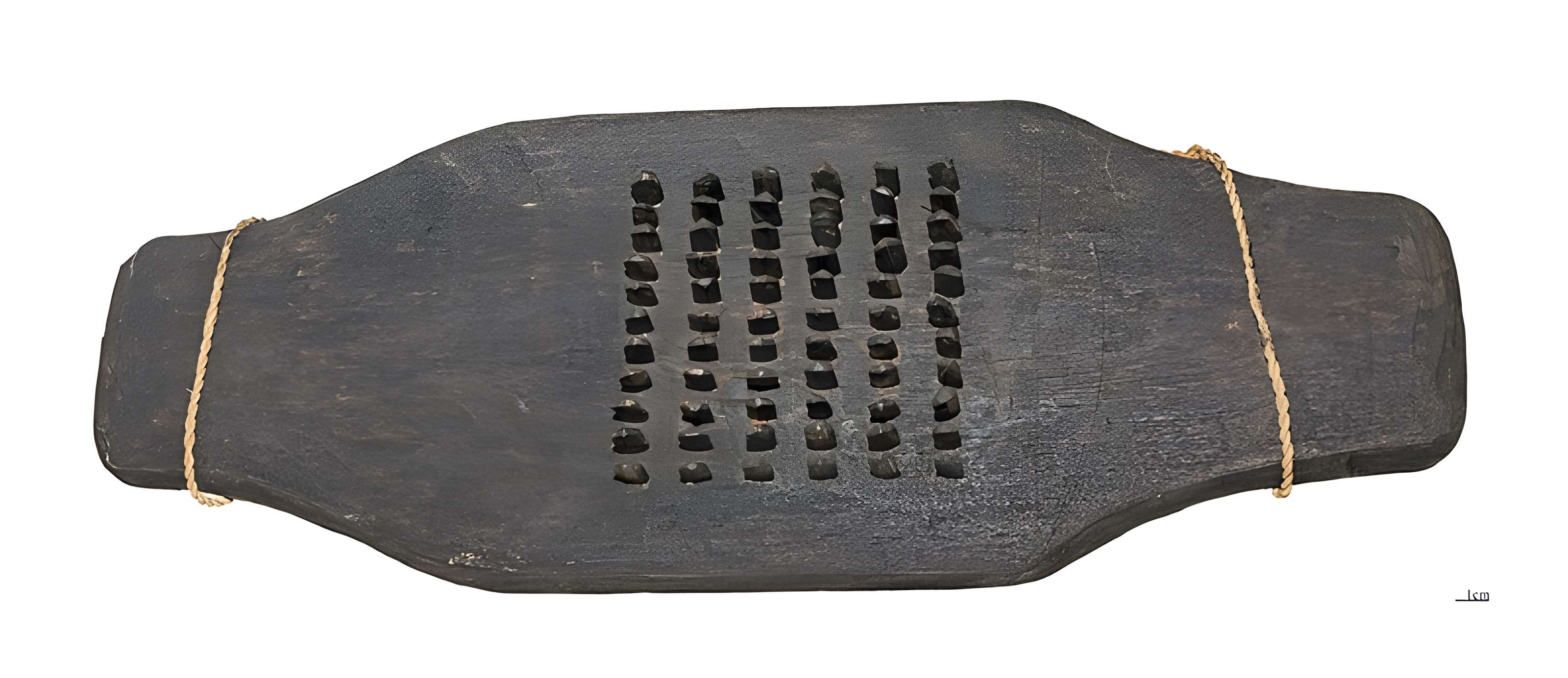 Muséum de Toulouse : Histoire naturelle et éthnologie