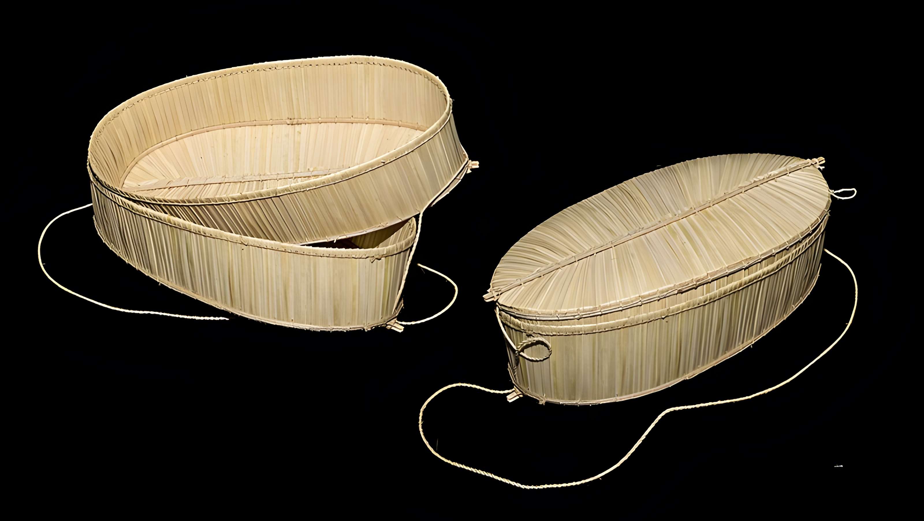 Muséum de Toulouse : Histoire naturelle et éthnologie