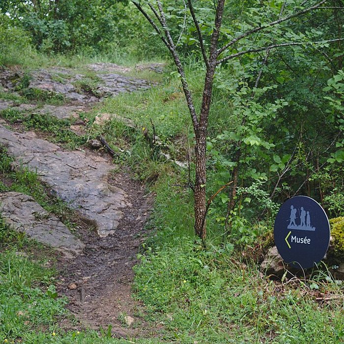 Photo de Musée Forum de lAurignacien