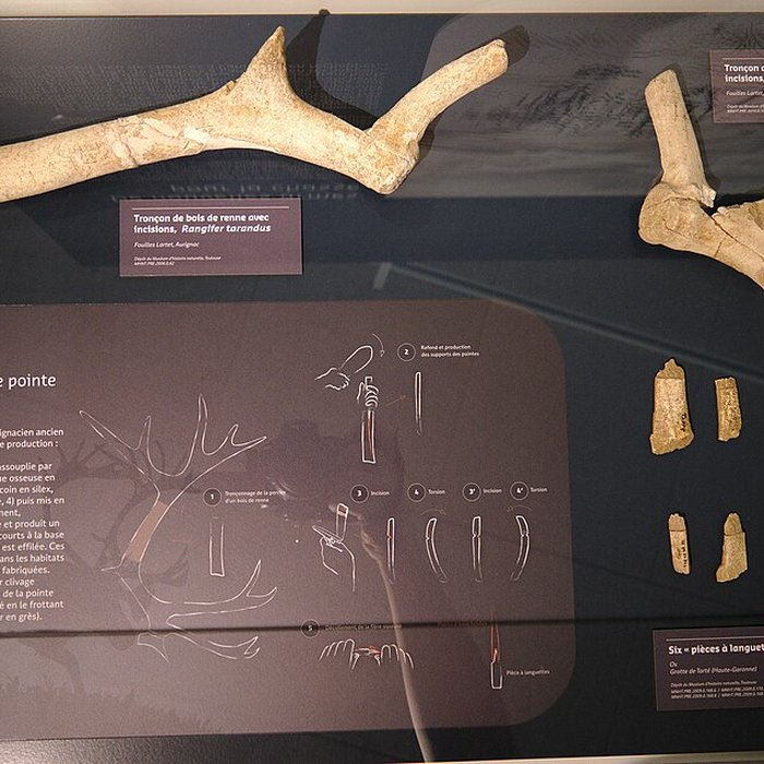 Photo de Musée Forum de lAurignacien