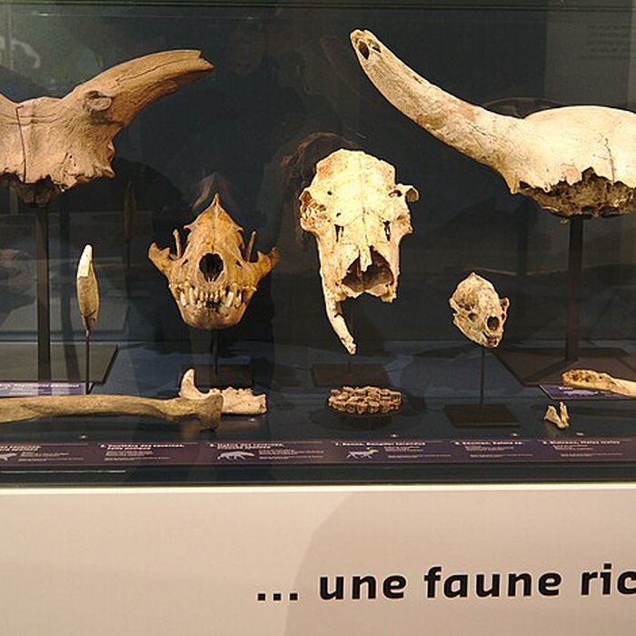 Photo de Musée Forum de lAurignacien