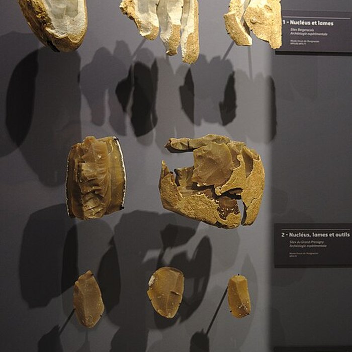 Photo de Musée Forum de lAurignacien