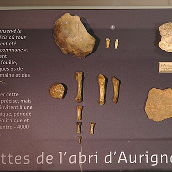 Photo de Musée Forum de lAurignacien