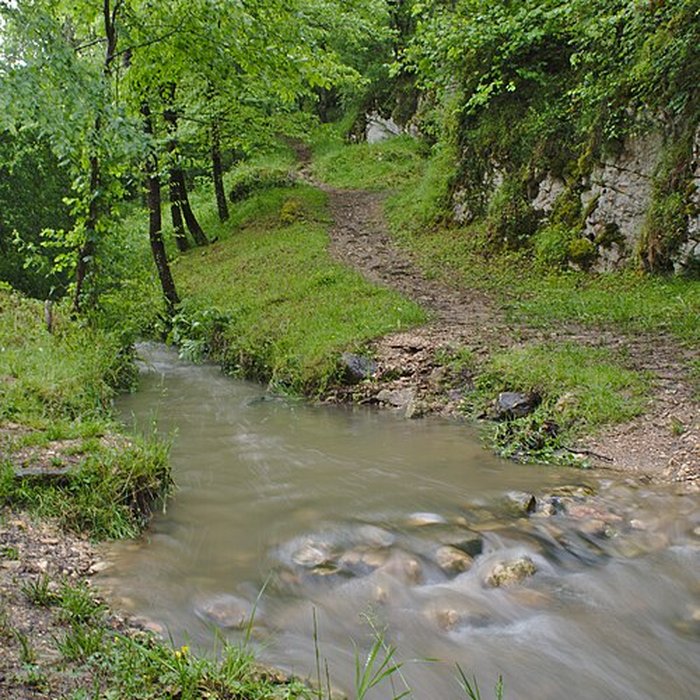 Photo de Musée Forum de lAurignacien