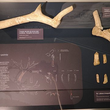 Musée Forum de lAurignacien