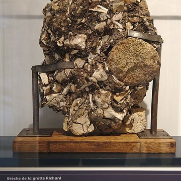 Musée Forum de lAurignacien