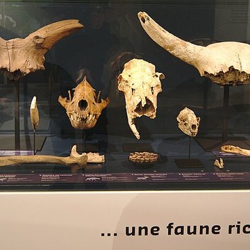 Musée Forum de lAurignacien