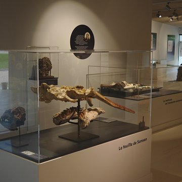 Musée Forum de lAurignacien