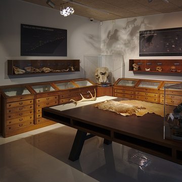 Musée Forum de lAurignacien