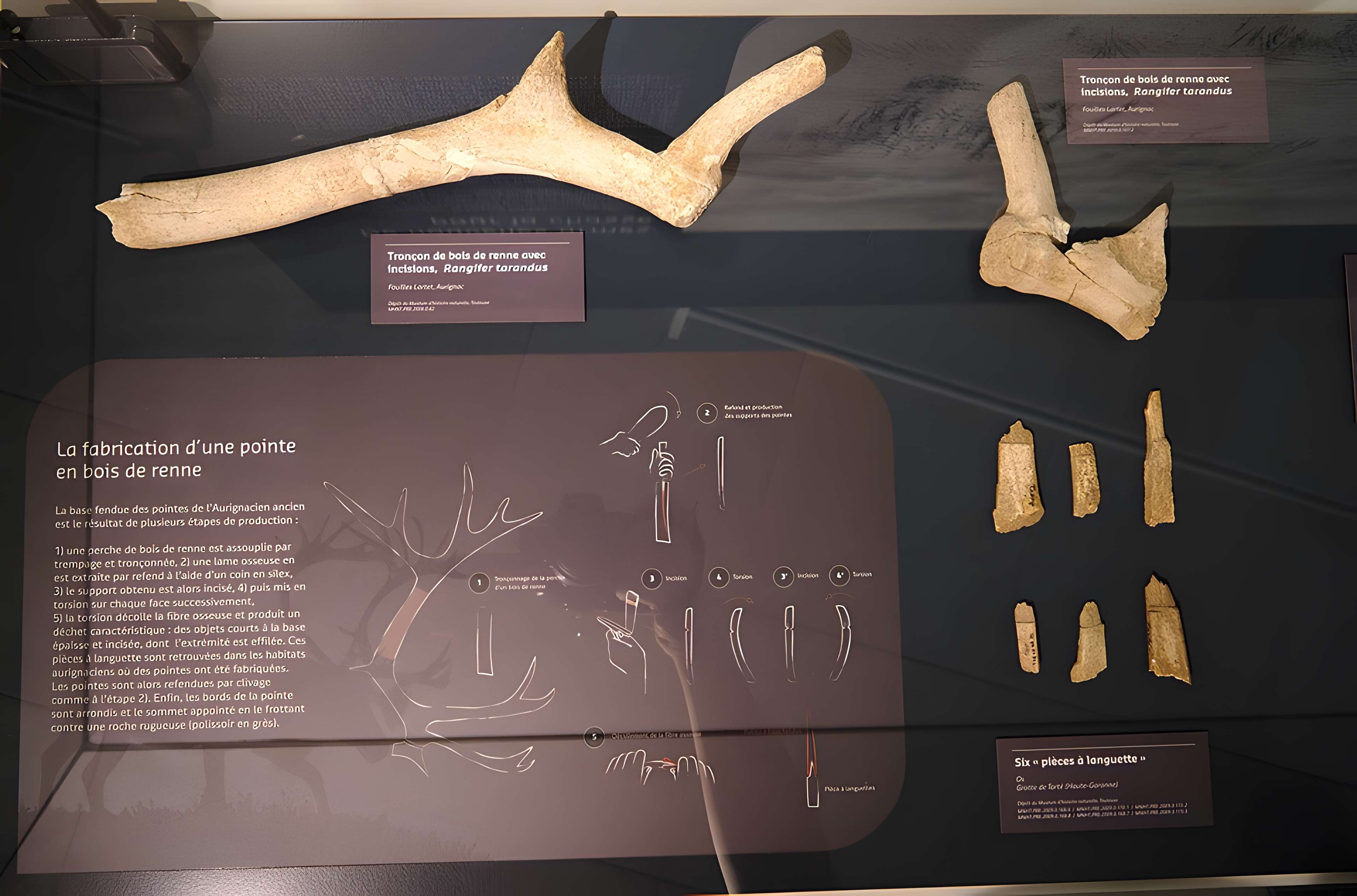 Musée Forum de l'Aurignacien