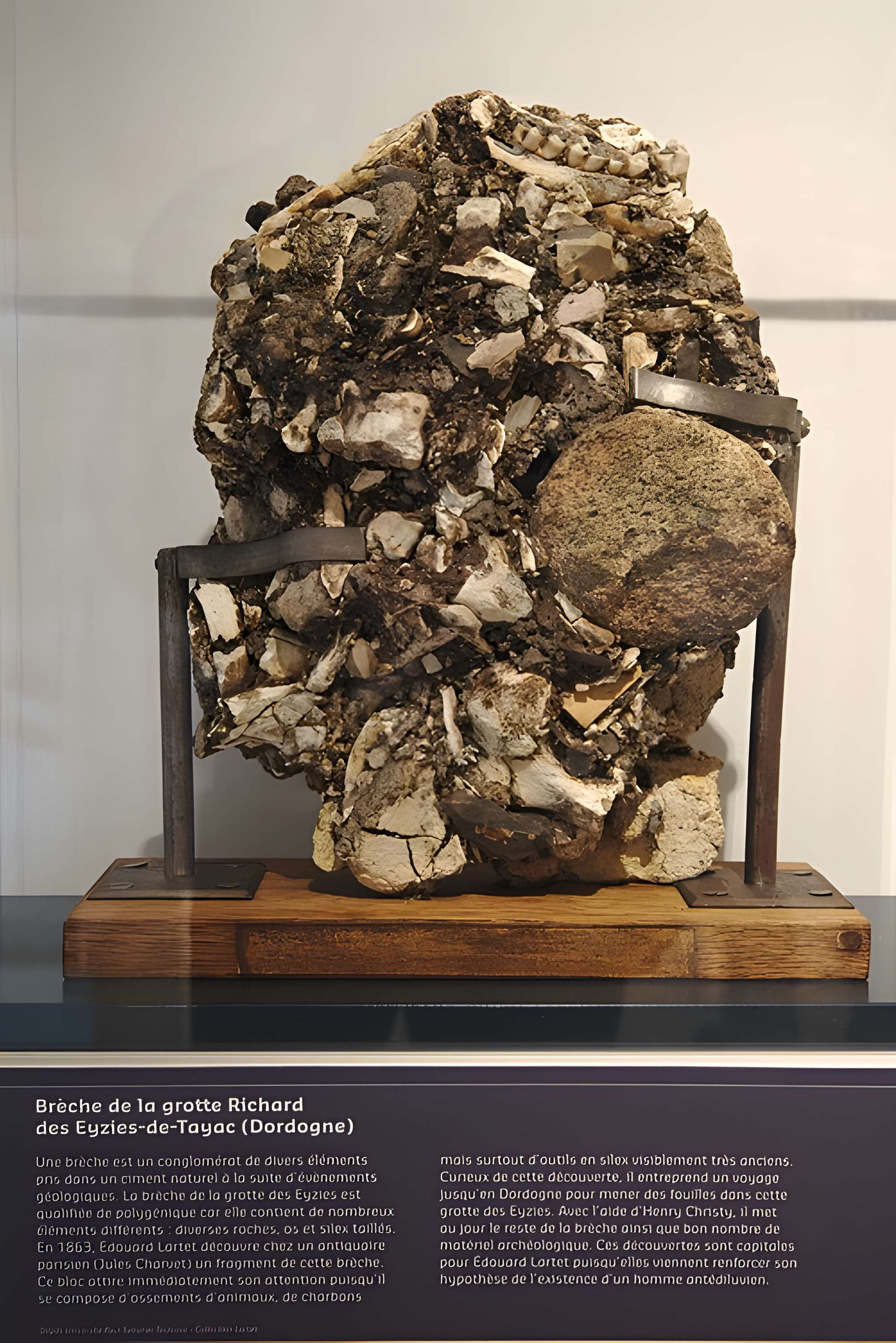 Musée Forum de l'Aurignacien