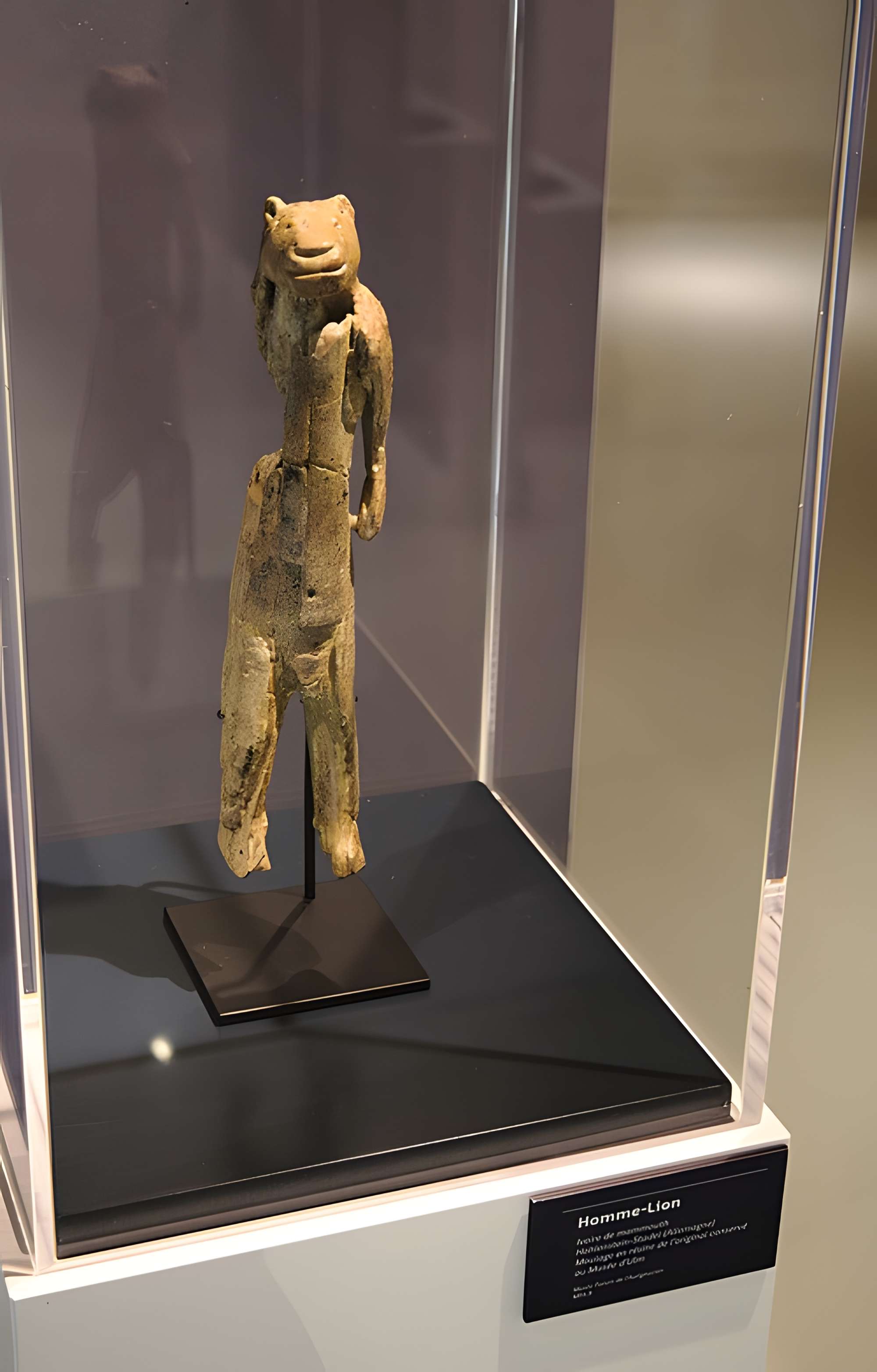 Musée Forum de l'Aurignacien