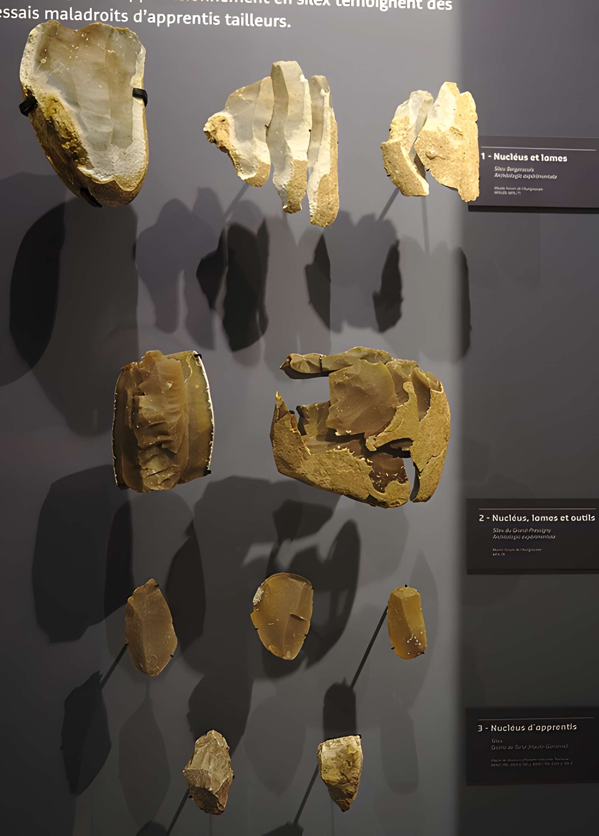 Musée Forum de l'Aurignacien