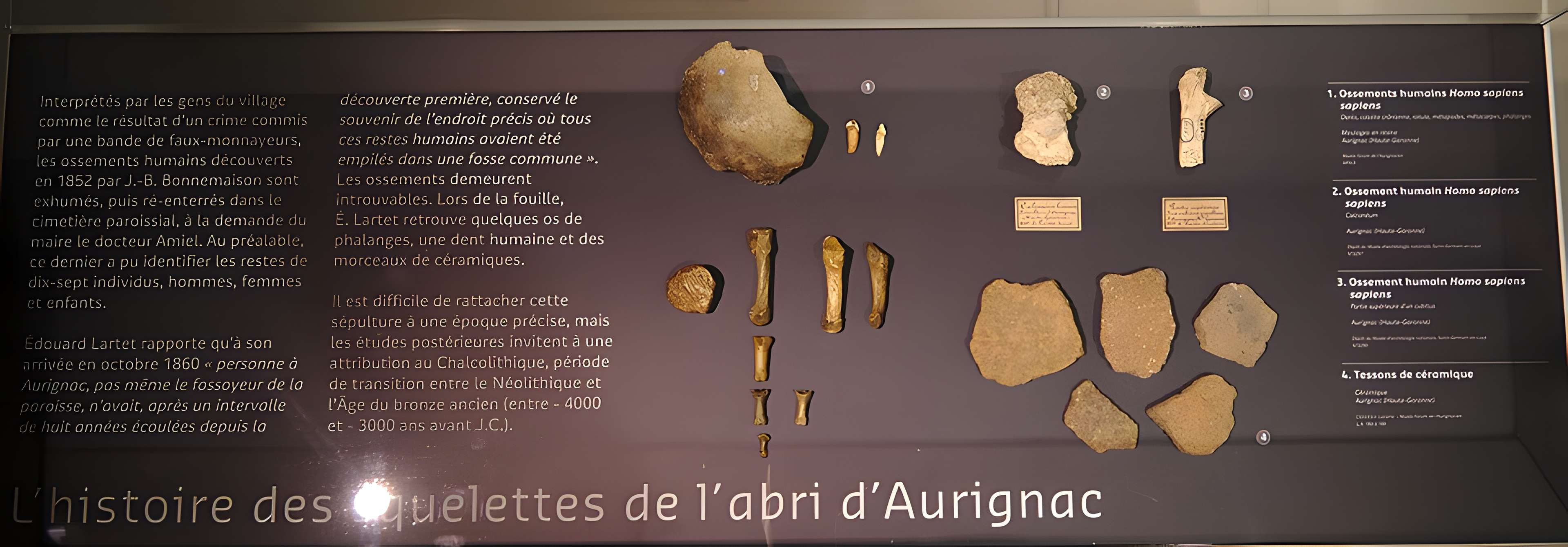 Musée Forum de l'Aurignacien