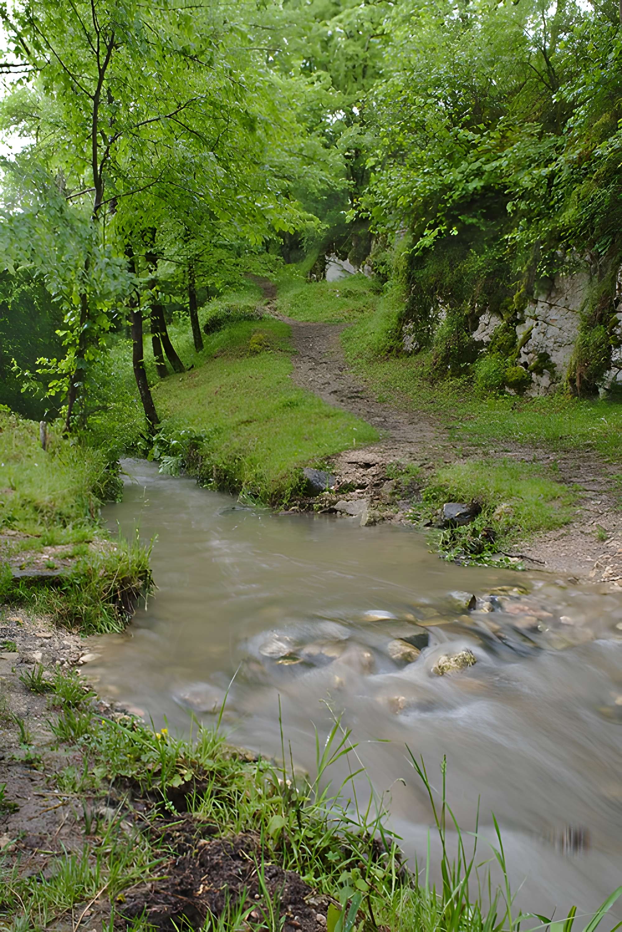 Musée Forum de l'Aurignacien