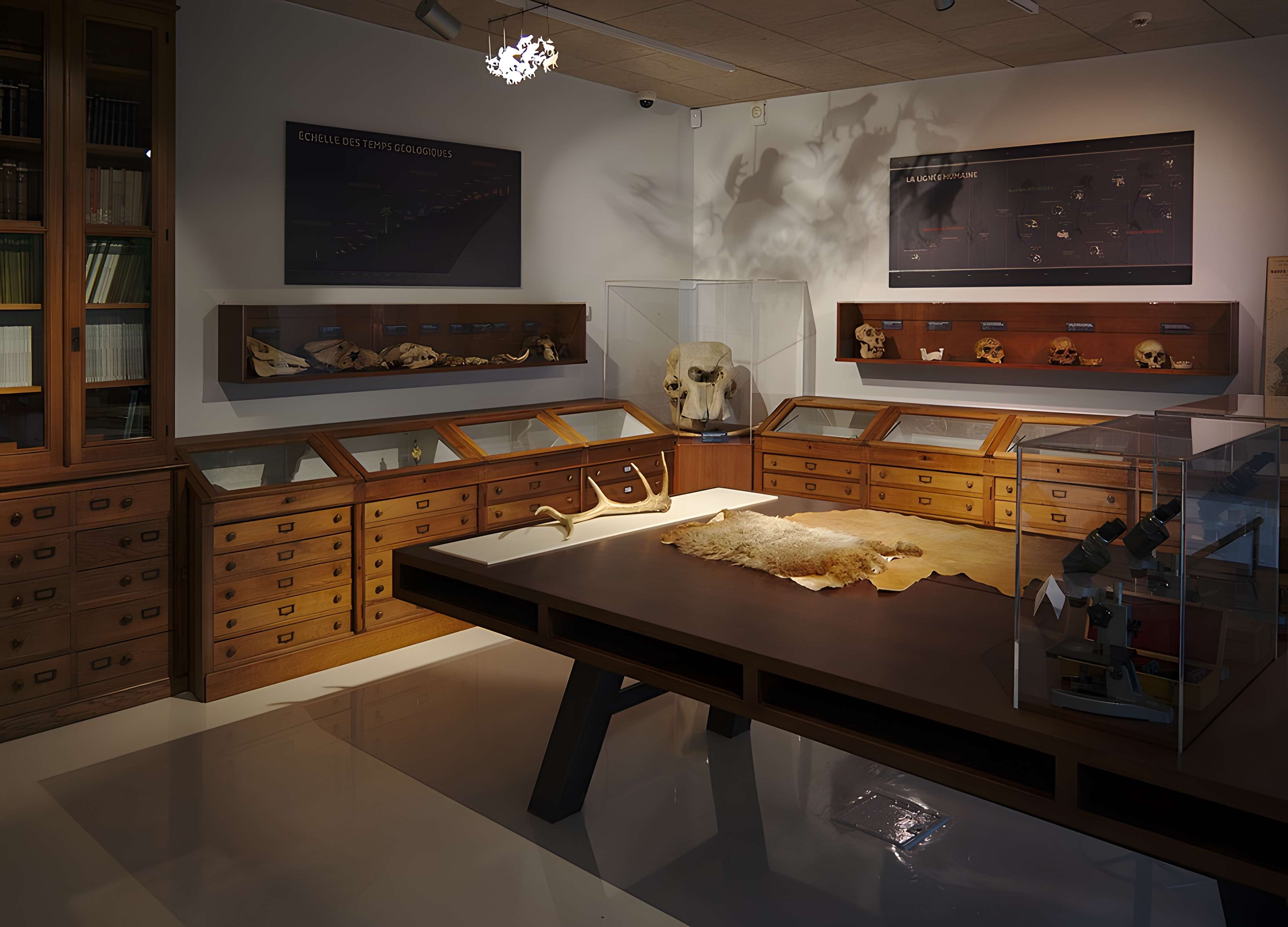 Musée Forum de l'Aurignacien