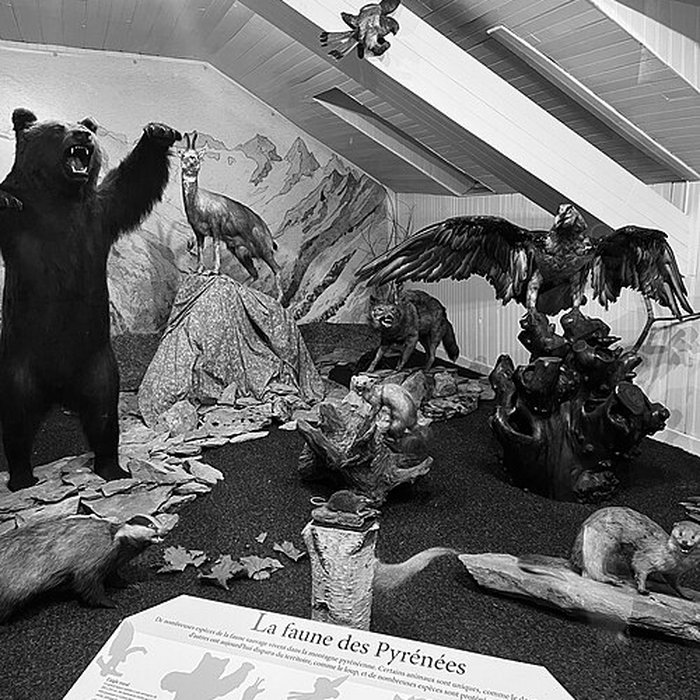 Photo de Musée pyrénéen de Lourdes