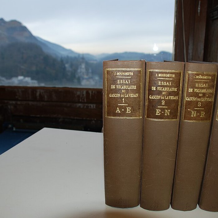 Photo de Musée pyrénéen de Lourdes