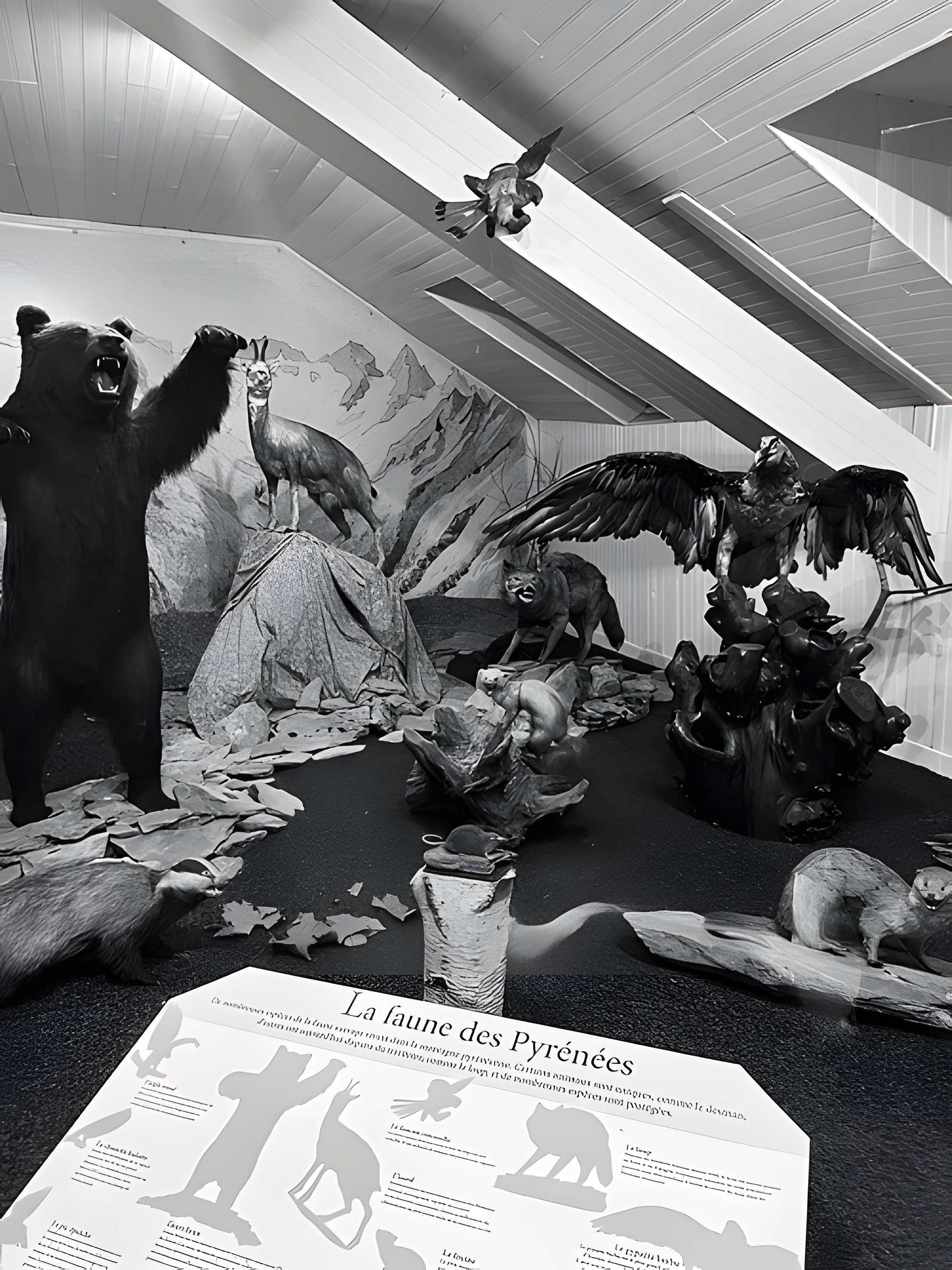 Musée pyrénéen de Lourdes