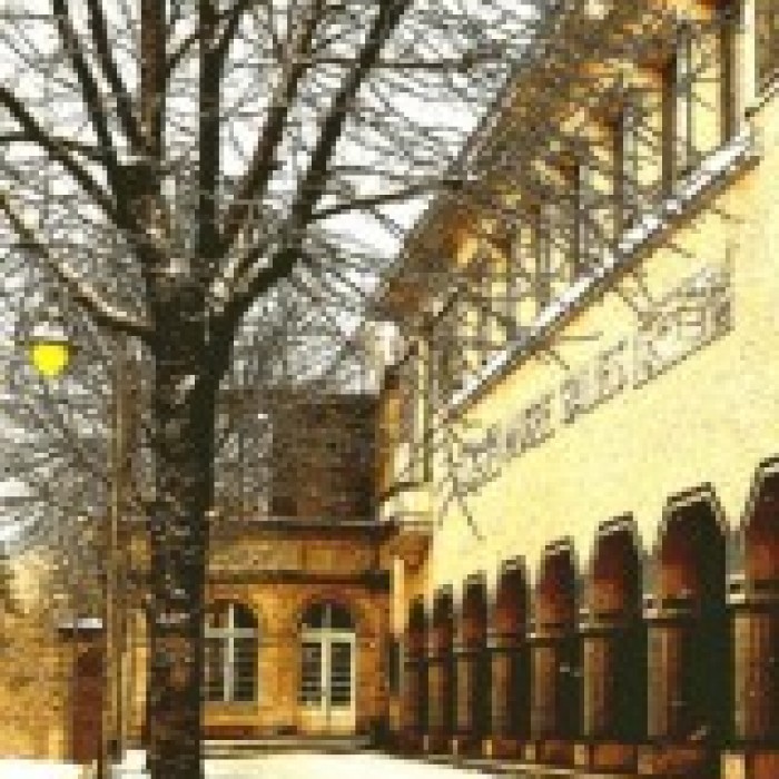 Photo de Musée Salies à Bagnères-de-Bigorre